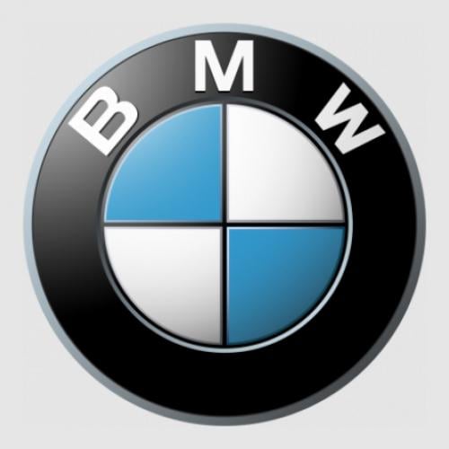 Стікер BMW Logo 3D 25x25 см Біло-блакитний/Чорний (21556518)