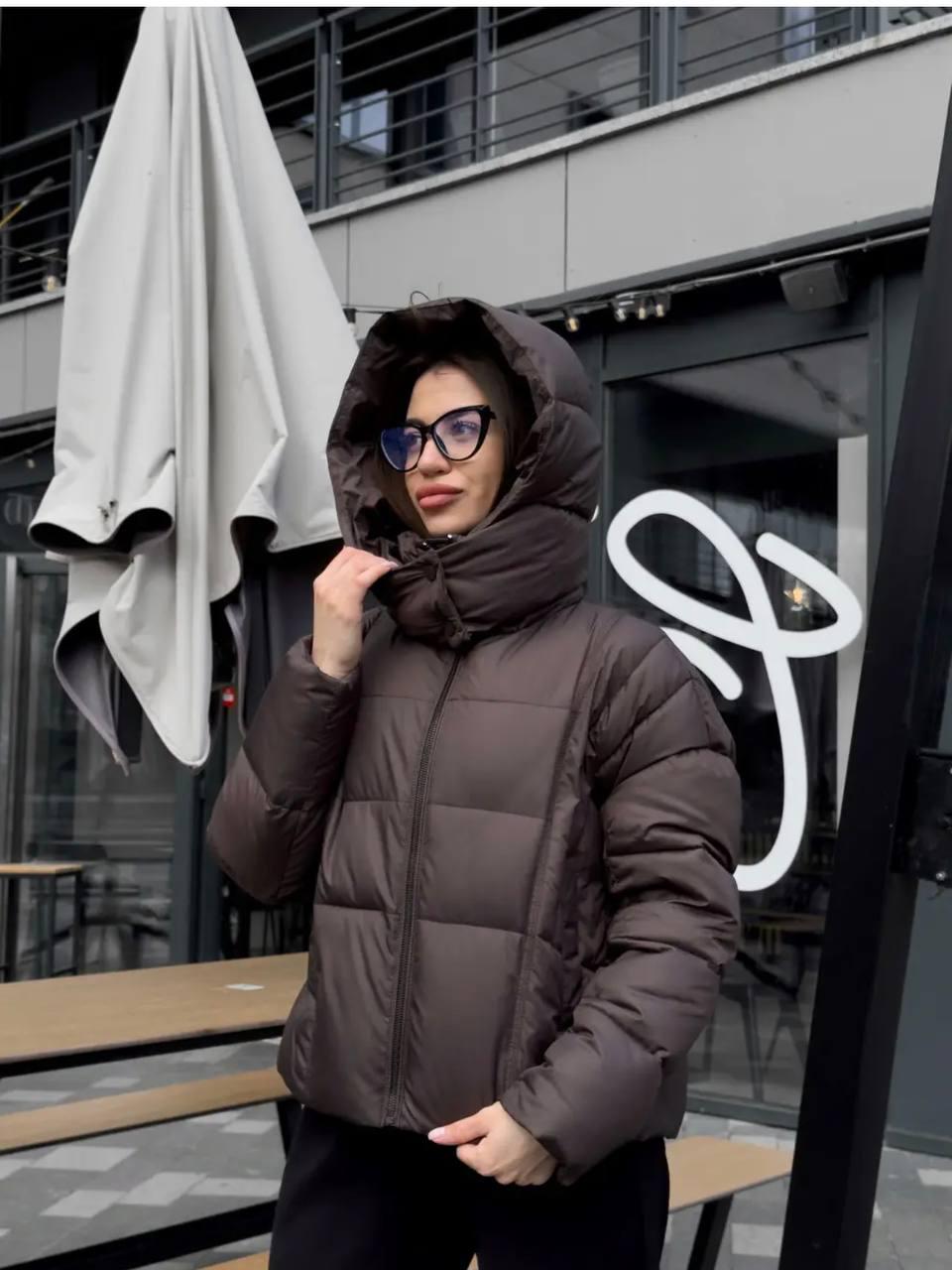 Пуховик жіночий зимовий D&V Coture DV-009 р. 46 Шоколад (29172414) Пуховик жіночий зимовий D&V Coture DV-009 р. 46 Шоколад (29172414)