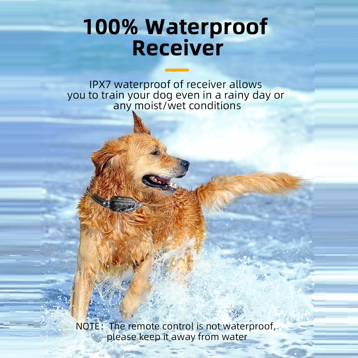 Електронний Ошийник для дресирування і корекції поведінки собак ROJECO PD521 1000 м - фото 5 Електронний Ошийник для дресирування і корекції поведінки собак ROJECO PD521 1000 м - фото 5