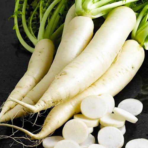 Насіння Редька-дайкон Florium японський (18512) - фото 2 Насіння Редька-дайкон Florium японський (18512) - фото 2