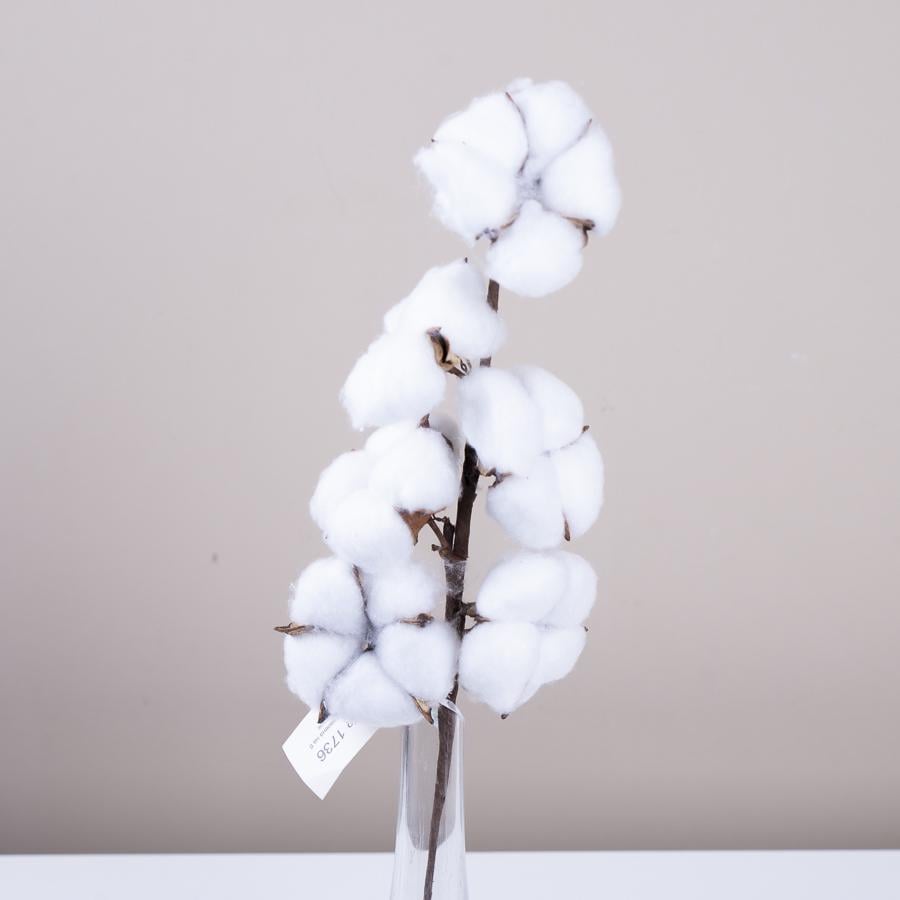 Веточка хлопка 6 головок 42 см (1736)