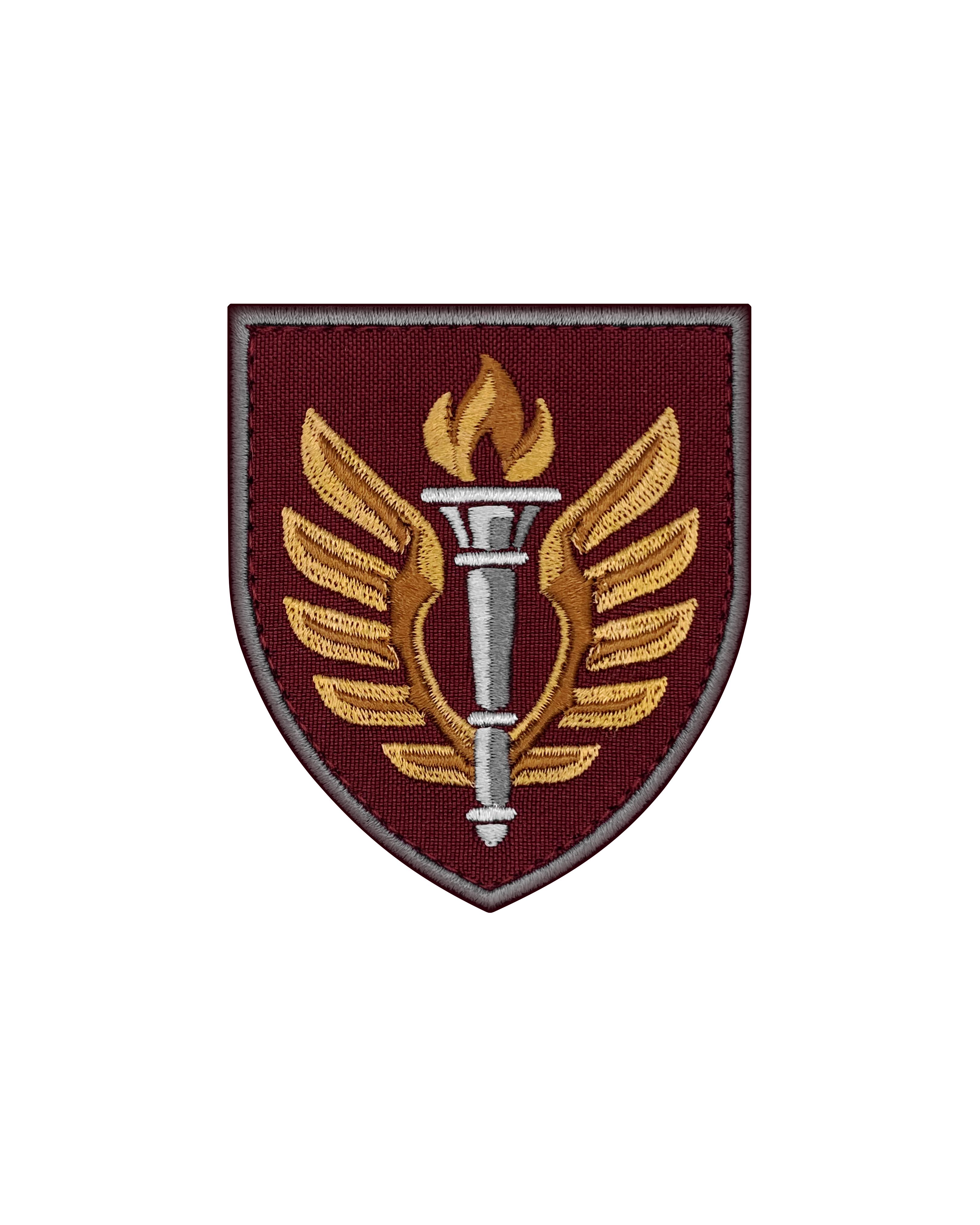 Шеврон 199-й учебный центр ДШИ (SHE.DSHV-14)