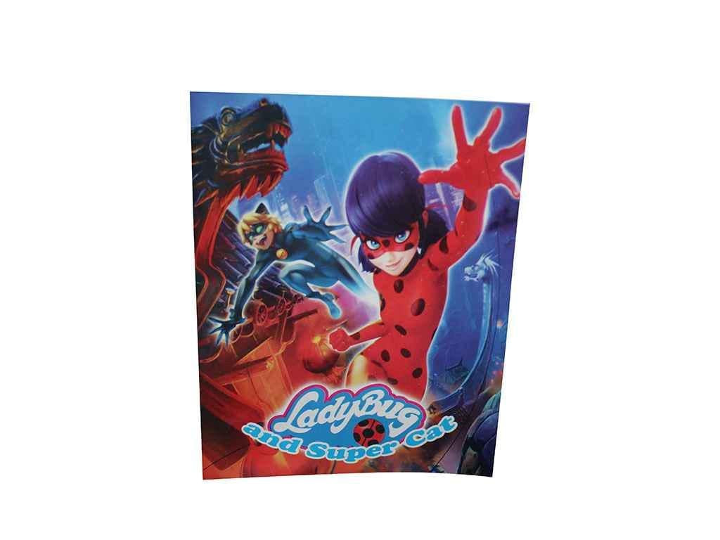 Раскраска Слово А4 Lady Bug and Super Cat-3 12 арк. (822686)
