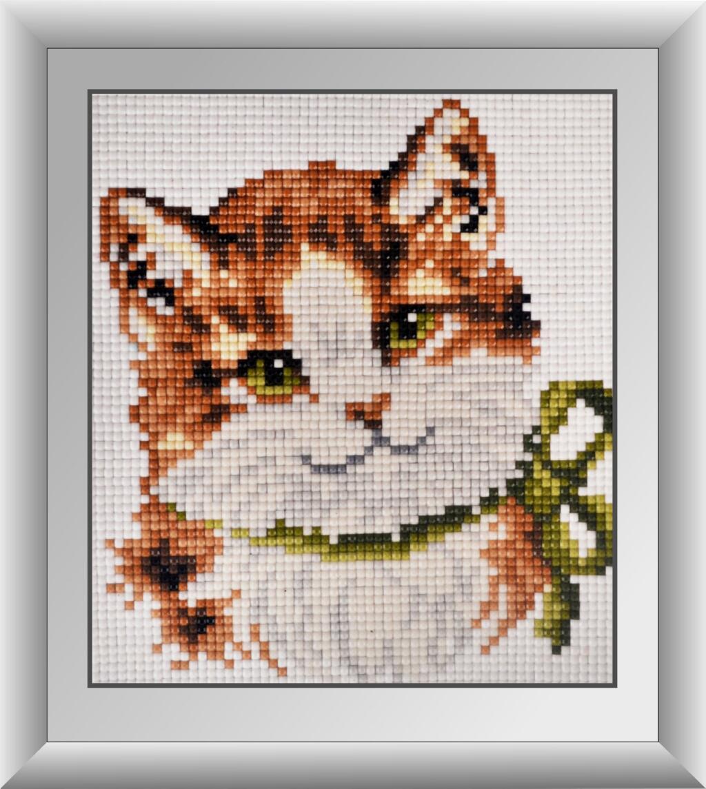 Алмазная мозаика Dream Art Зеленоглазый котенок 15x17 см (DA.30364M)