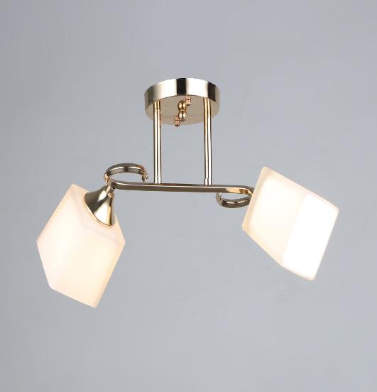 Люстра потолочная Sirius В N3693/2 FG на 2 плафоны (000033757)