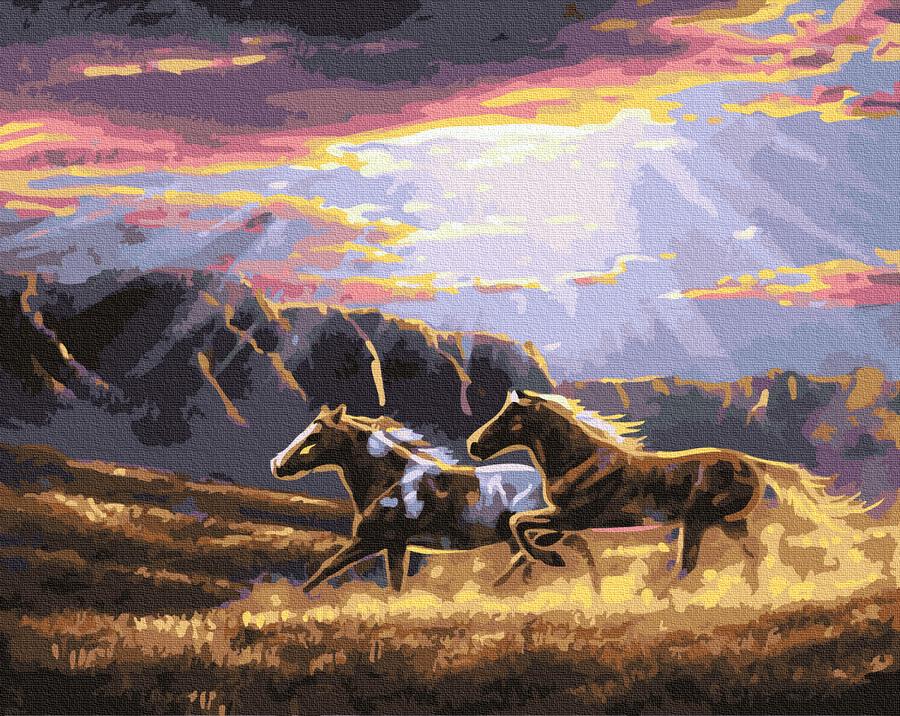 Картина по номерам Brushme Дикие скакуны 40х50 см (GX35207) Картина по номерам Brushme Дикие скакуны 40х50 см (GX35207)