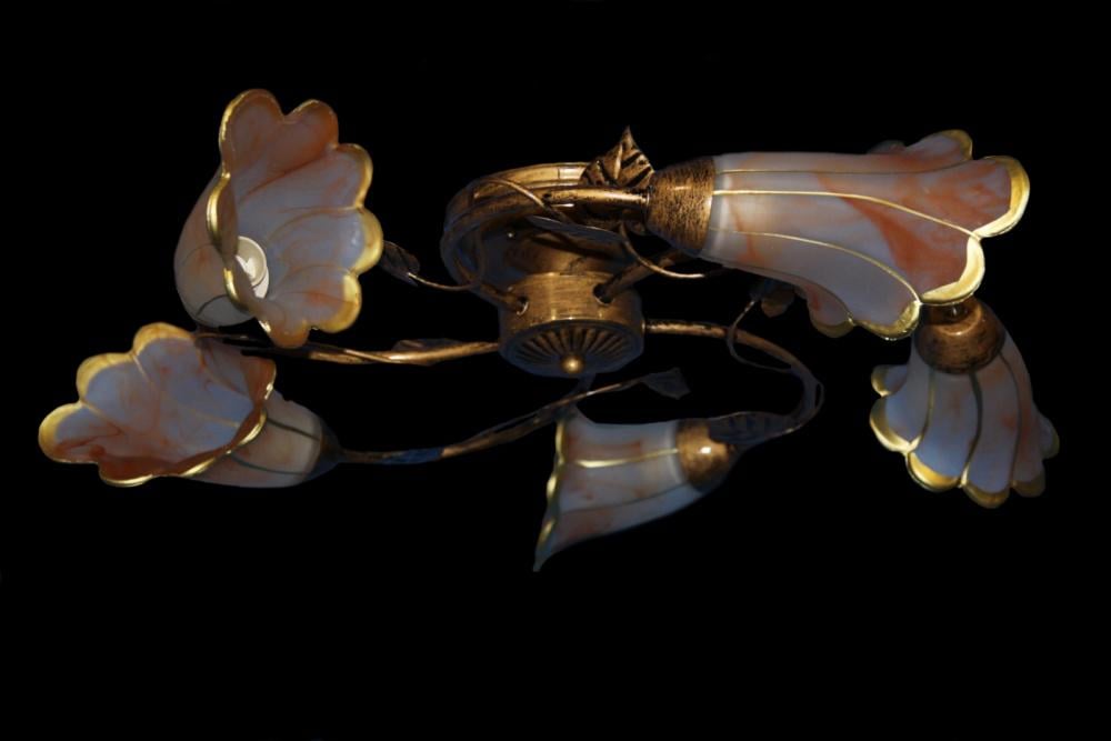 Люстра с плафонами Ray L90660J/5 (IR005868) Люстра с плафонами Ray L90660J/5 (IR005868)