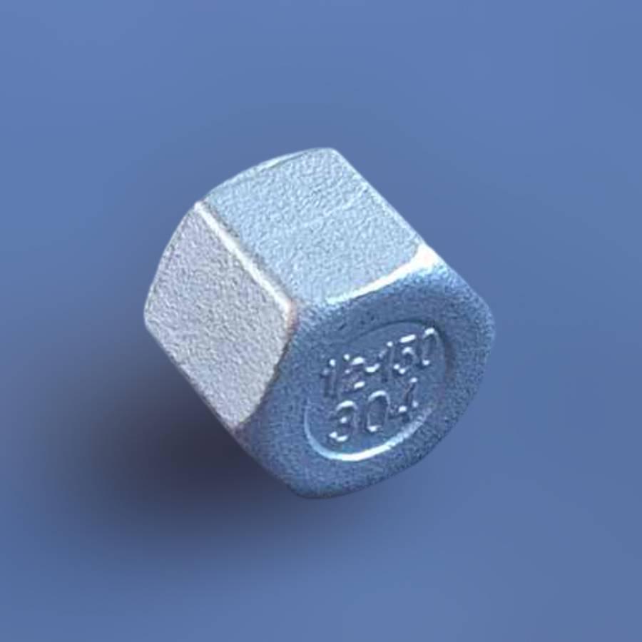 Заглушка муфтова шестигранна DN15 BSPP н/ж сталь AISI304 Class-150 внутрішня різьба 1/2" (29203160) - фото 2 Заглушка муфтова шестигранна DN15 BSPP н/ж сталь AISI304 Class-150 внутрішня різьба 1/2" (29203160) - фото 2