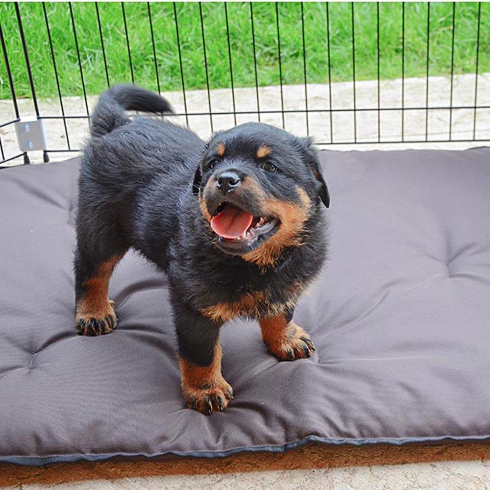 Загін для собак і цуценят DOG TRAINING 80x80xh 62 см (A-037728) - фото 5 Загін для собак і цуценят DOG TRAINING 80x80xh 62 см (A-037728) - фото 5