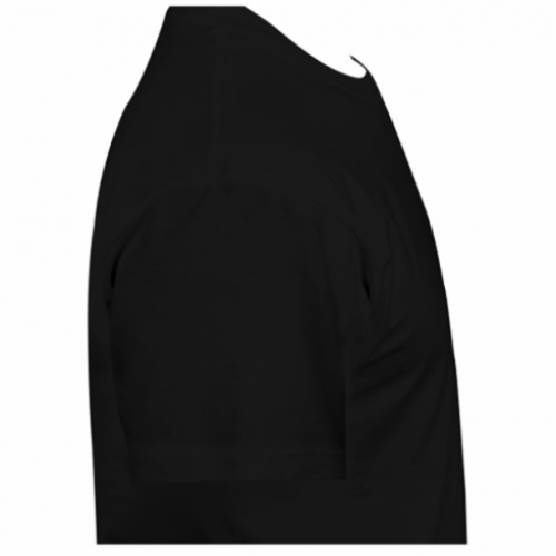 Футболка мужская Gildan Professional racist M Черный (19275892-2-186652-M) - фото 4 Футболка мужская Gildan Professional racist M Черный (19275892-2-186652-M) - фото 4