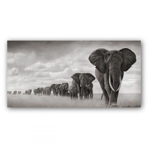 Картина Могучие слоны 50x100 см (K0029)