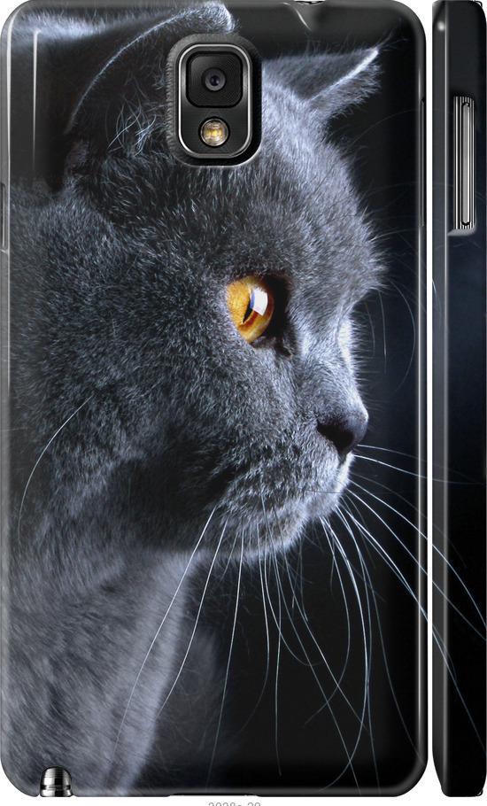 Чехол на Samsung Galaxy Note 3 N9000 Красивый кот (3038c-29-42517)