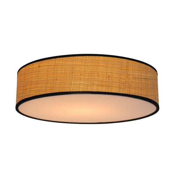 Світильник Zuma Line ARUBA (CL12029-D40)