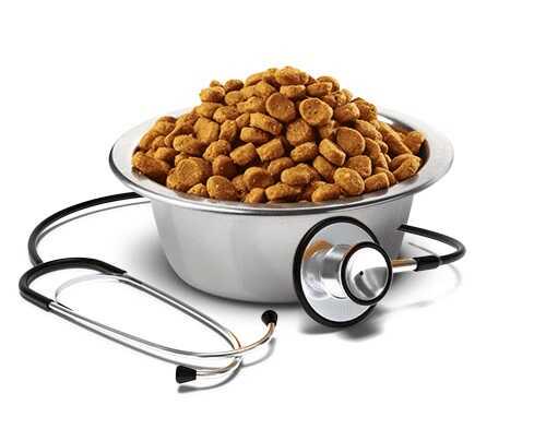 Корм сухий лікувальний для собак Farmina Vet Life Renal для підтримки функції нирок 2 кг (20184188) - фото 2 Корм сухий лікувальний для собак Farmina Vet Life Renal для підтримки функції нирок 2 кг (20184188) - фото 2