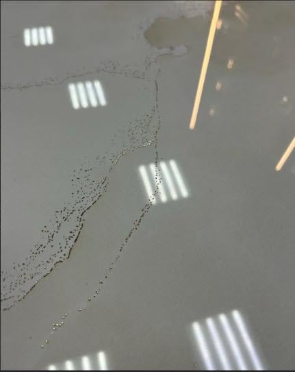 Плитка универсальная Exclusive Sunrise Gold 60x120 см (JS12066) - фото 6