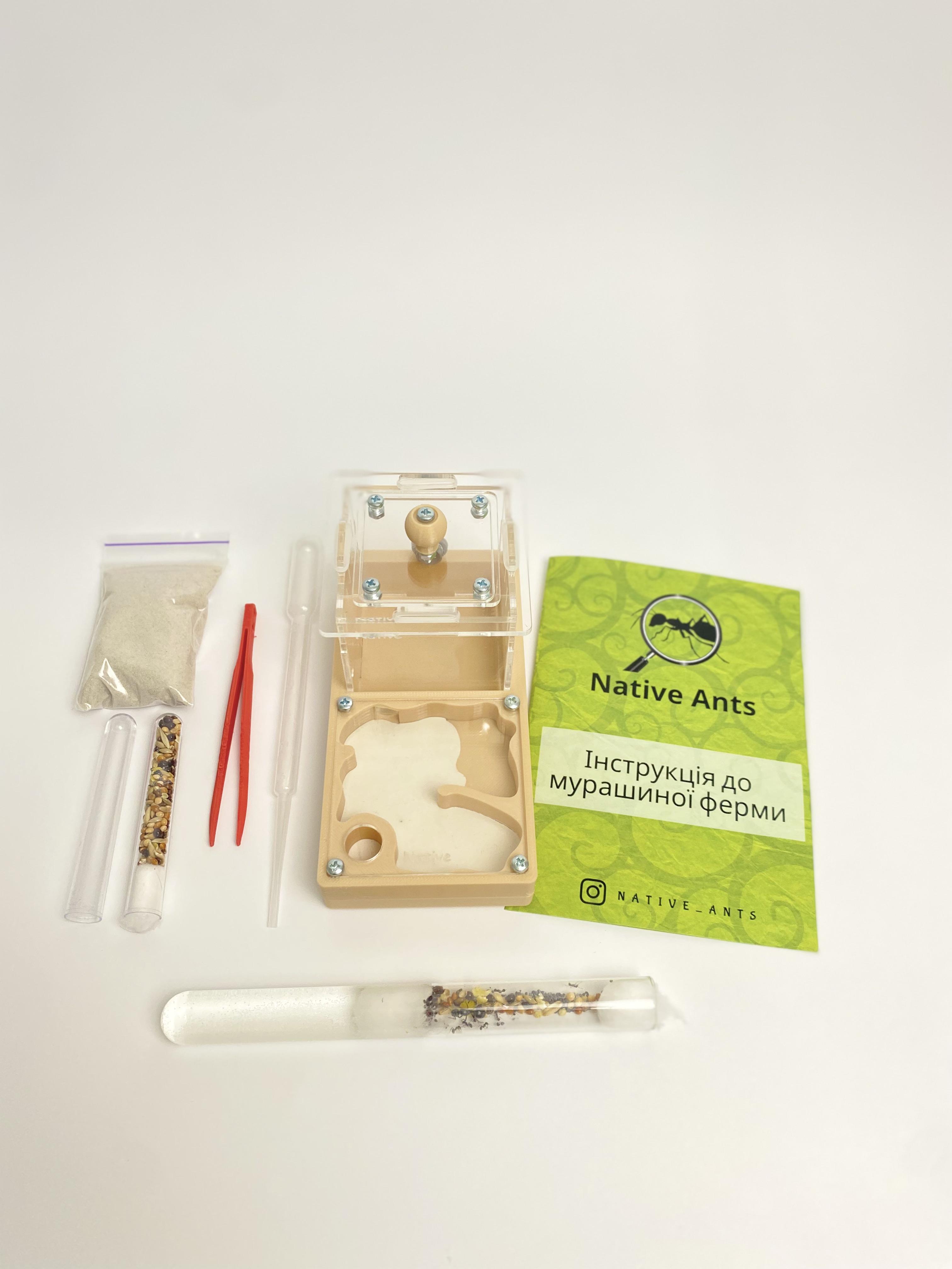 Стартовый набор для новичков Муравьиная ферма "Мини" с муравьями Messor muticus/аксессуарами и кормом Бежевый (2671897269)