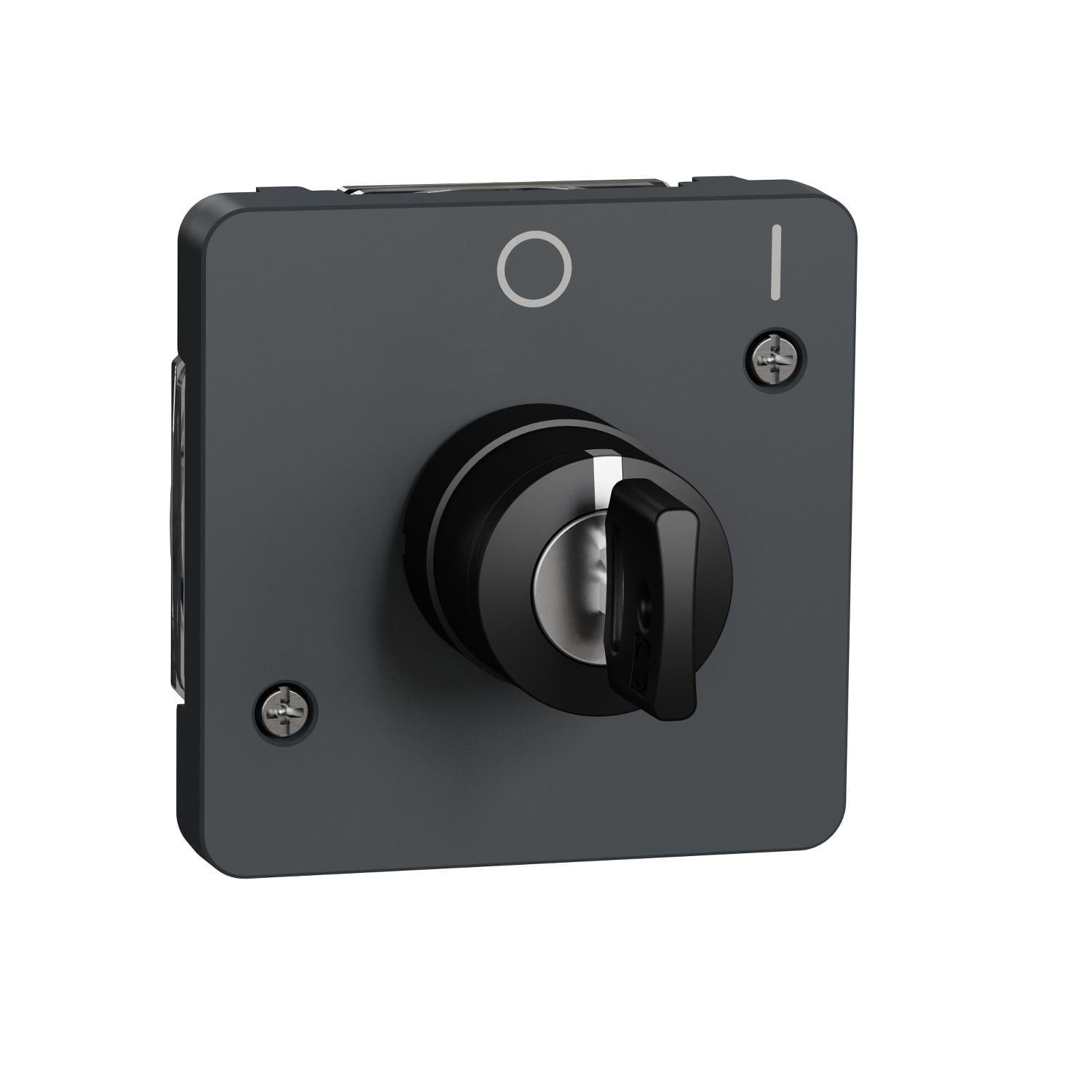 Механізм перемикача Schneider Electric Mureva Styl IP55 з ключем на 2 позиції Чорний (MUR35062)