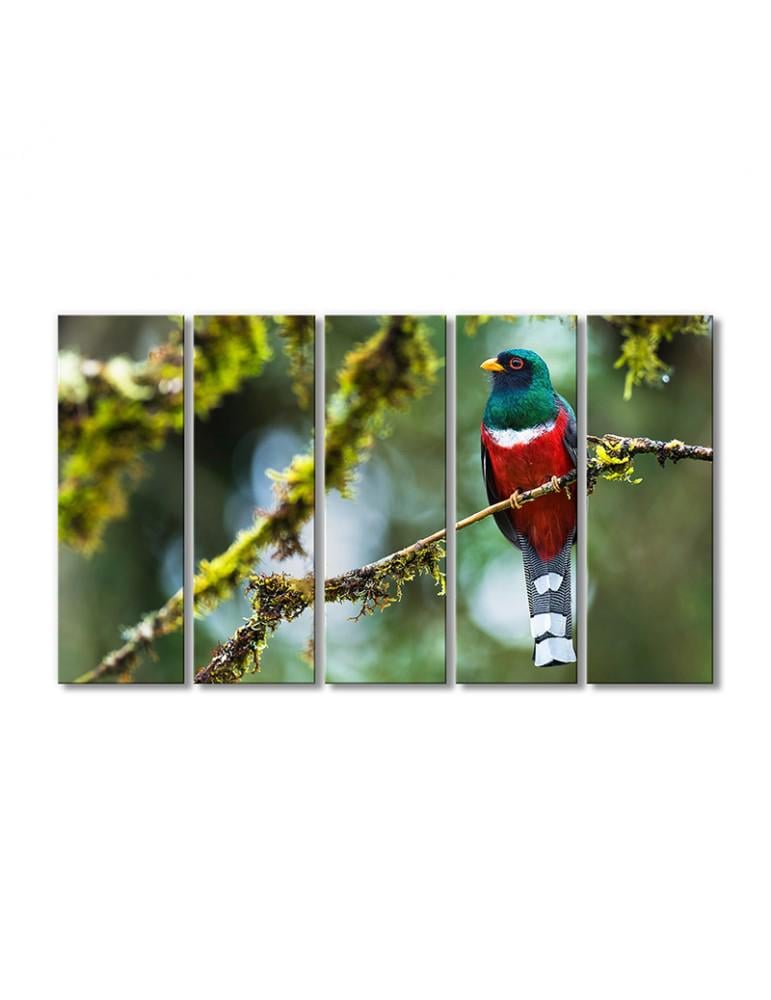 Картина модульная Певчие воробьиные 5 модулей 80x120 см