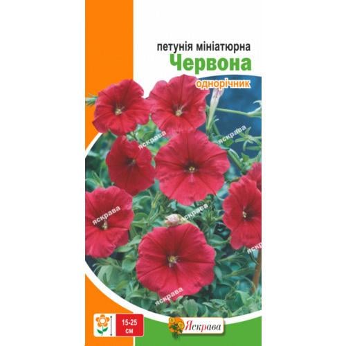 Насіння Петунія Florium мініатюрна Червона (17720) - фото 2 Насіння Петунія Florium мініатюрна Червона (17720) - фото 2