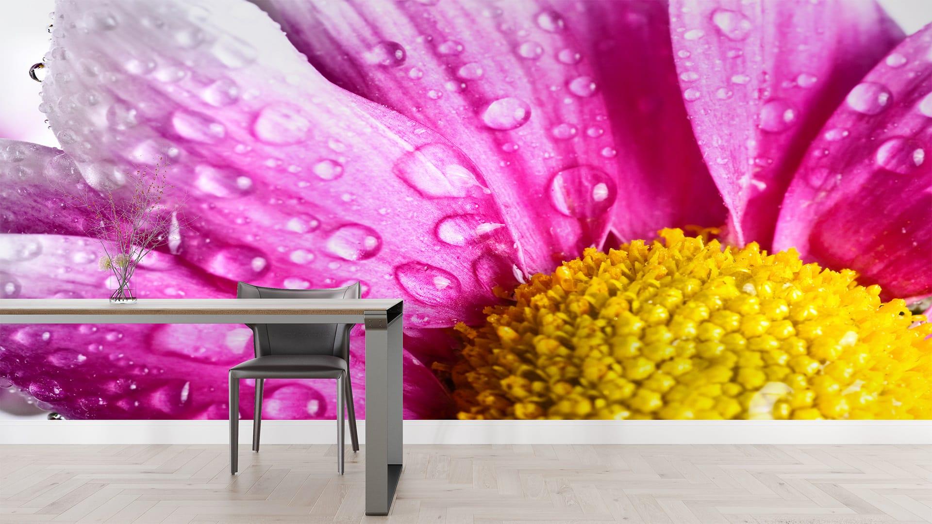 Фотообои флизелиновые Styleo Print-walls Яркий цветок 0227 400х250 см (Pw-0227/4)