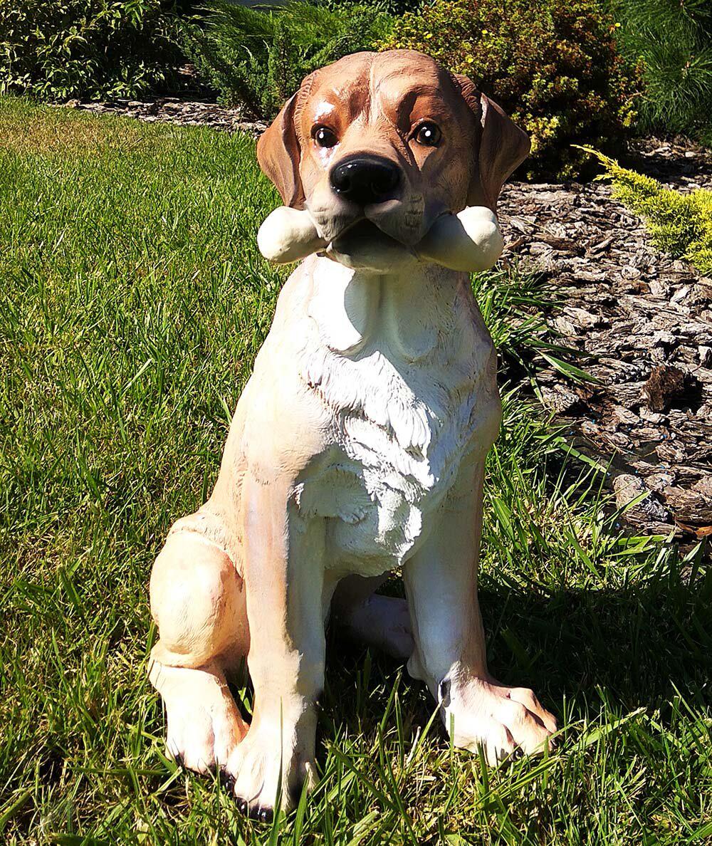 Садовая фигура собака Лабрадор с костью 44 см (816) - фото 2 Садовая фигура собака Лабрадор с костью 44 см (816) - фото 2