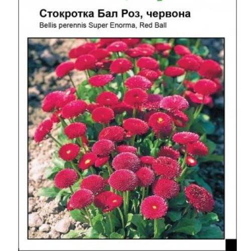 Насіння квітів Садиба Маргаритка Бал Роз червона 0,1 г (SZ-1039)