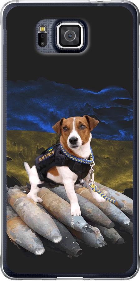 Чехол на Samsung Galaxy Alpha G850F Патрон (5320u-65-42517)