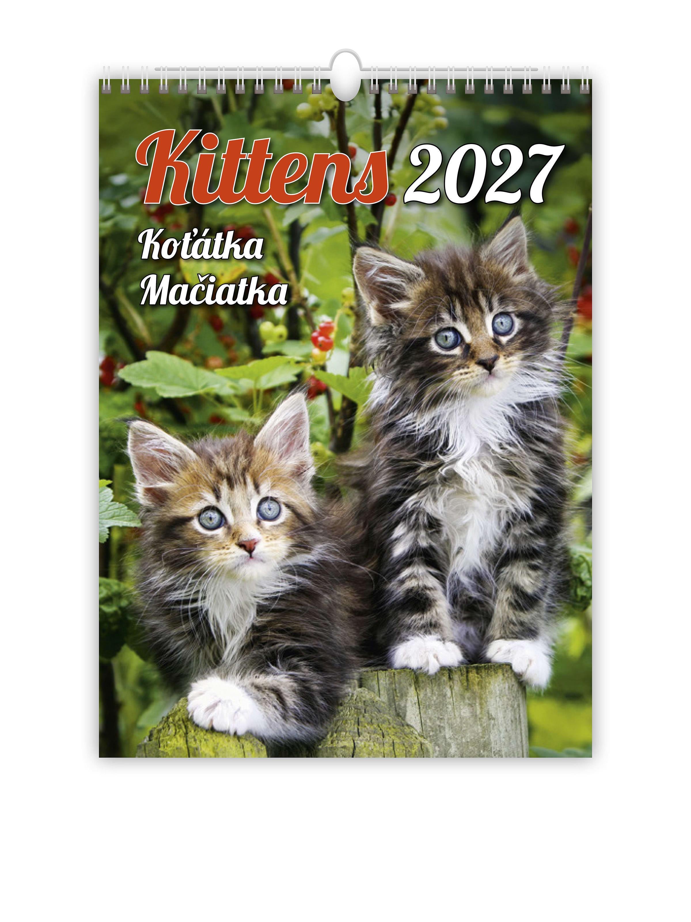 Календар настінний 2027 HELMA Kittens 24х33 см (N180-27) Календар настінний 2027 HELMA Kittens 24х33 см (N180-27)