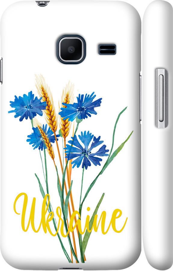 Чехол на Samsung Galaxy J1 Mini J105H Ukraine v2 (5445m-258-42517) Чехол на Samsung Galaxy J1 Mini J105H Ukraine v2 (5445m-258-42517)