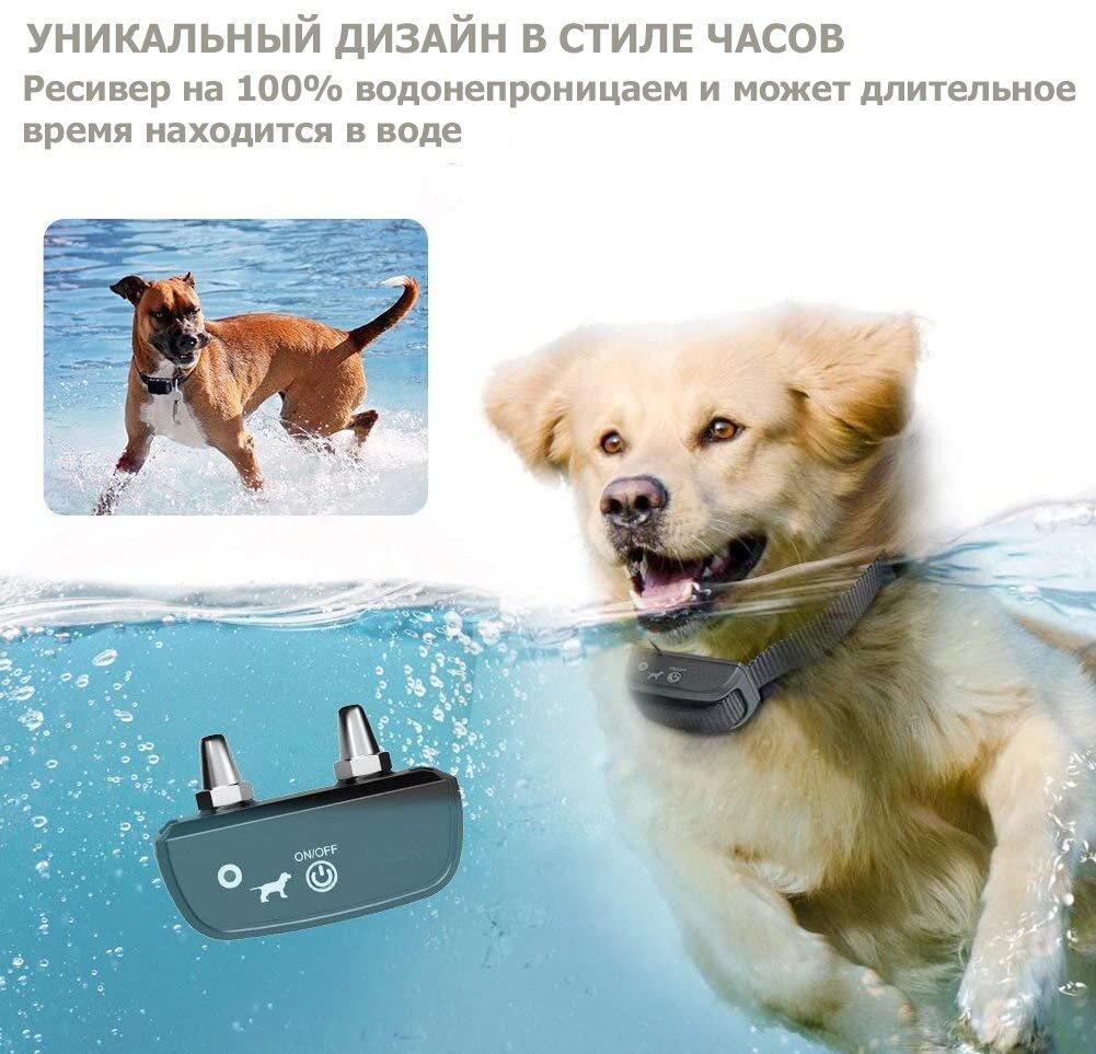 Часы с электроошейником Digital Lion T213 для дрессировки собак до 300 м - фото 6 Часы с электроошейником Digital Lion T213 для дрессировки собак до 300 м - фото 6