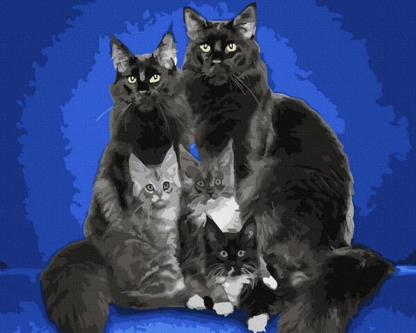 Картина за номерами Brushme Сім'я мейн-кунів 40х50 см у термопакеті (GX24802)