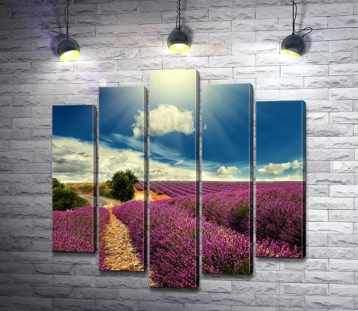 Модульная картина ArtPoster Ряды лавандового поля тянутся вдоль дороги 100x100 см Модуль №26 (002571)
