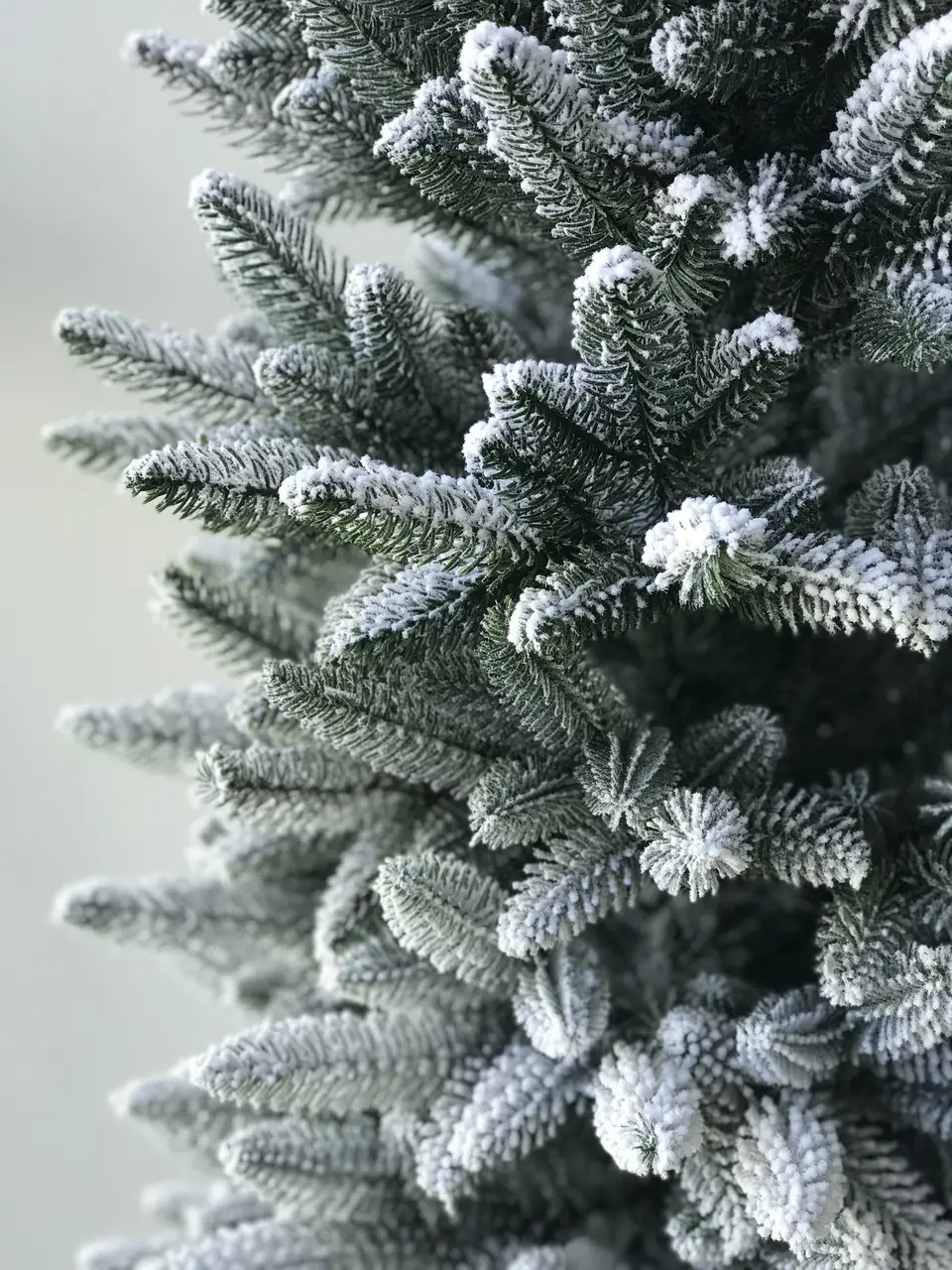 Елка искусственная HVOYA литая Альпийская заснеженная 220 см (220/220/GS) - фото 4 Елка искусственная HVOYA литая Альпийская заснеженная 220 см (220/220/GS) - фото 4