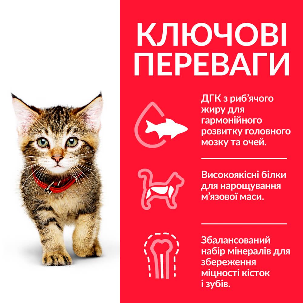 Корм сухой Hill's Science Plan Kitten с тунцом для котят и кошек в период беременности и лактации 300 г (37883) - фото 3