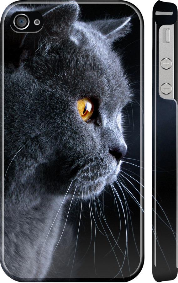 Чехол на iPhone 4s Красивый кот (3038c-12-42517)