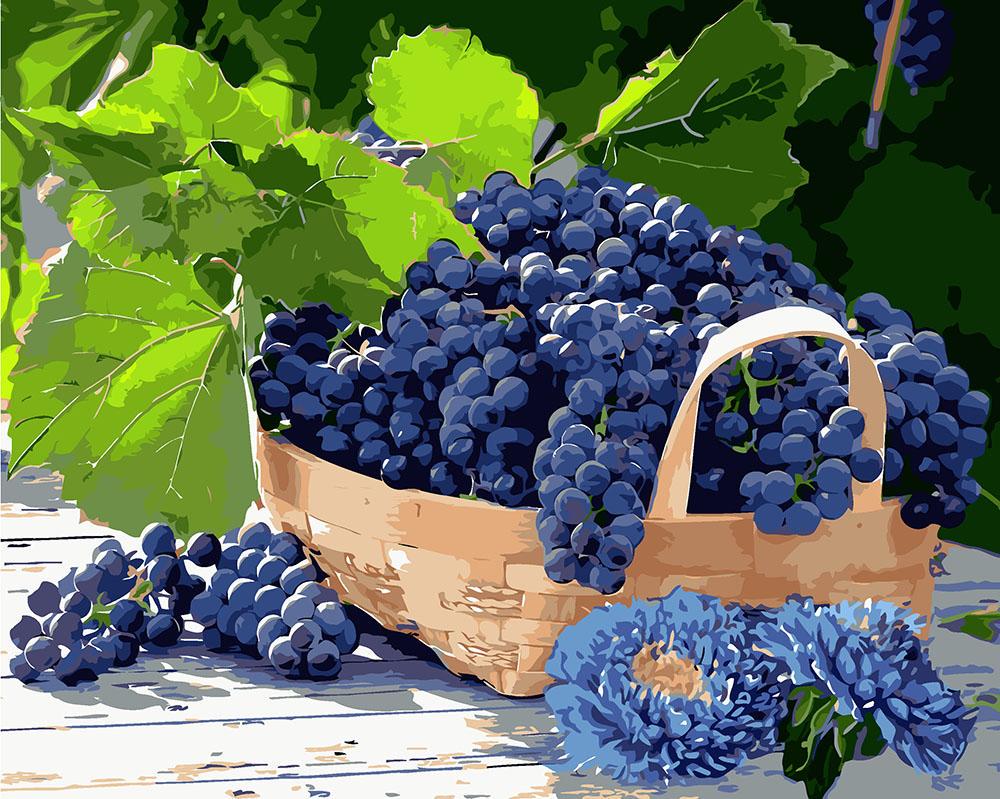 Картина по номерам Идейка "Виноград в корзине" 40х50 см (KH5579)