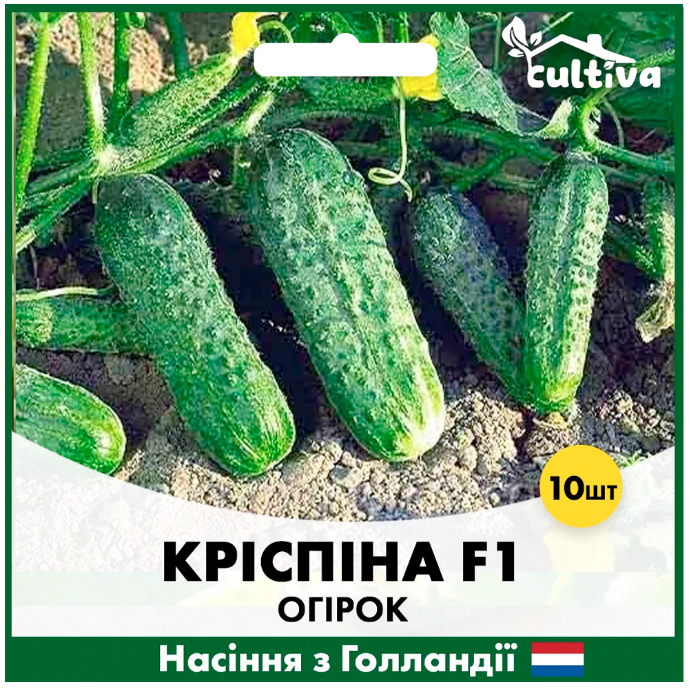 Семена огурца Nunhems Криспина F1 10 шт. (O9)
