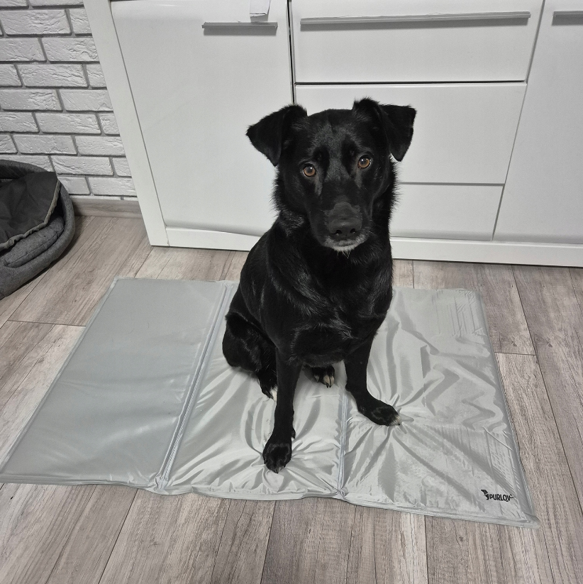 Коврик для собак и кошек охлаждающий Purlov XXL 110x70 см - фото 7