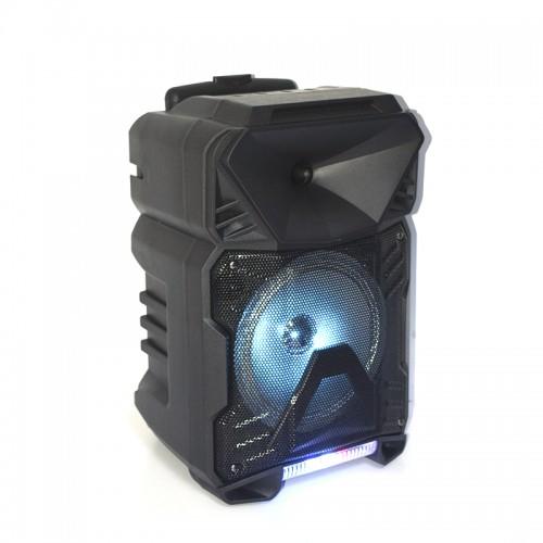 Акустическая система XPRO KTS-1230 30 Вт USB/SD/FM радио/Bluetooth/1 микрофон/ДУ Черный (AM-3197)