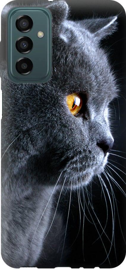Чехол на Samsung Galaxy M13 M135 Красивый кот (3038u-2765-42517)