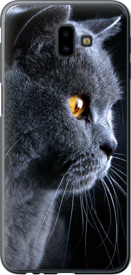 Чехол на Samsung Galaxy J6 Plus 2018 Красивый кот (3038t-1586-42517)