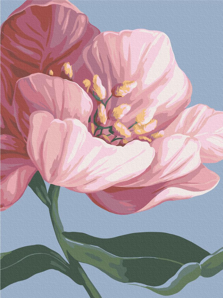 Картина по номерам Brushme Цветы 30x40 см (RBS53759)