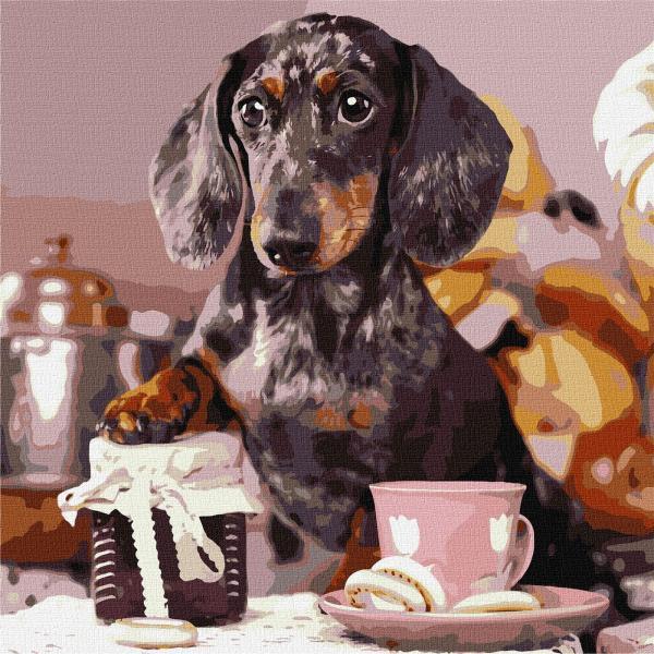 Картина по номерам Идейка Пушистый повар 40х40 см в термопакете (KHO4273)