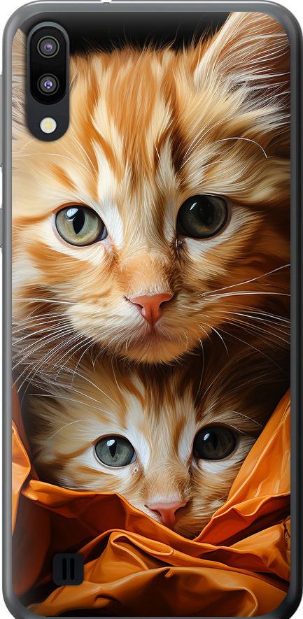 Чехол на Samsung Galaxy M10 Котики 2 (5664u-1661-42517)