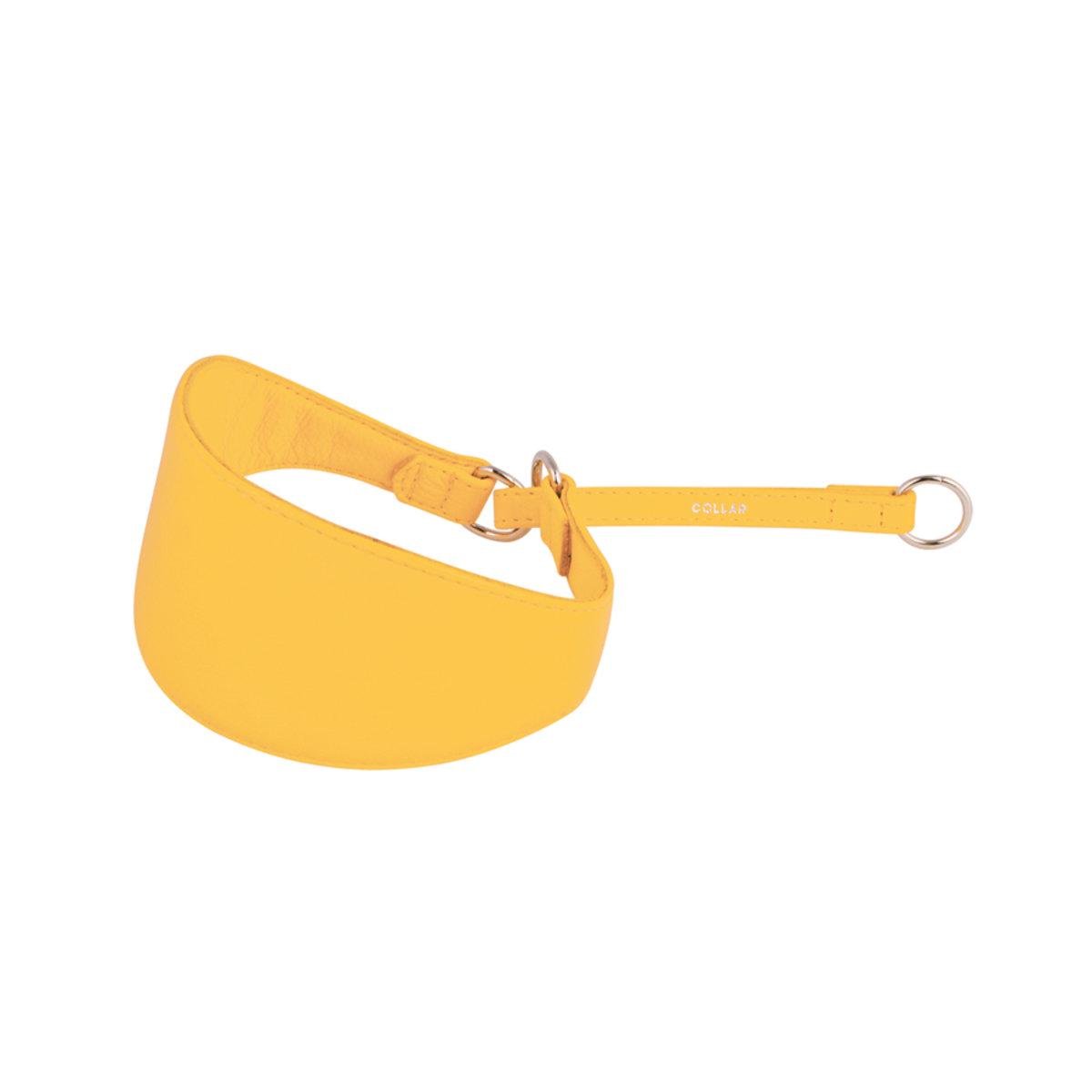 Ошейник-удавка Collar GLAMOUR 60 мм x 33-42 см Желтый