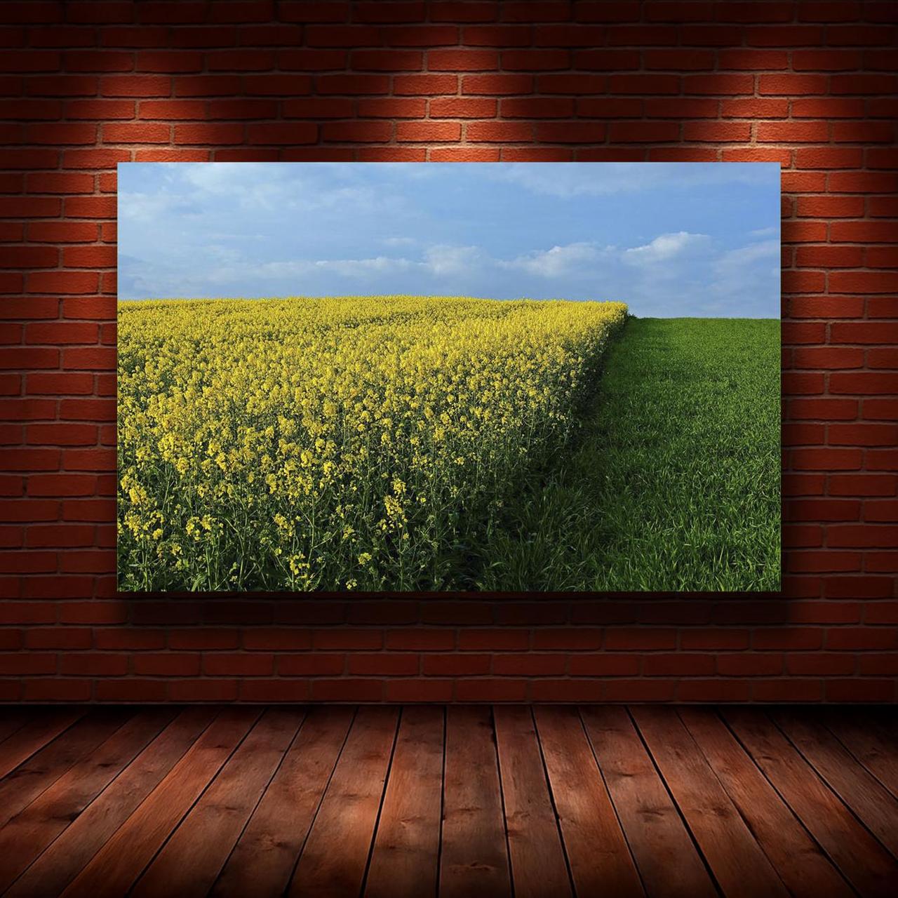 Картина на холсте Природа 55х85 см (N963)