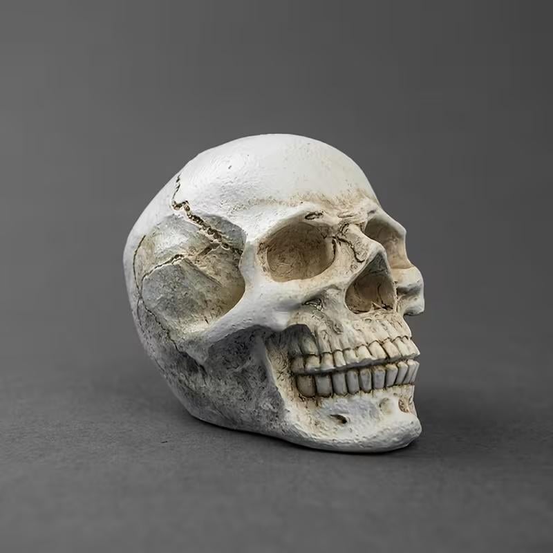 Статуэтка череп Gothic Skull полистоун Белый (DC-GS-001094)