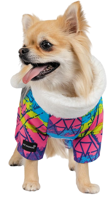 Комбинезон Pet Fashion Amaze S Разноцветный (PR242327)