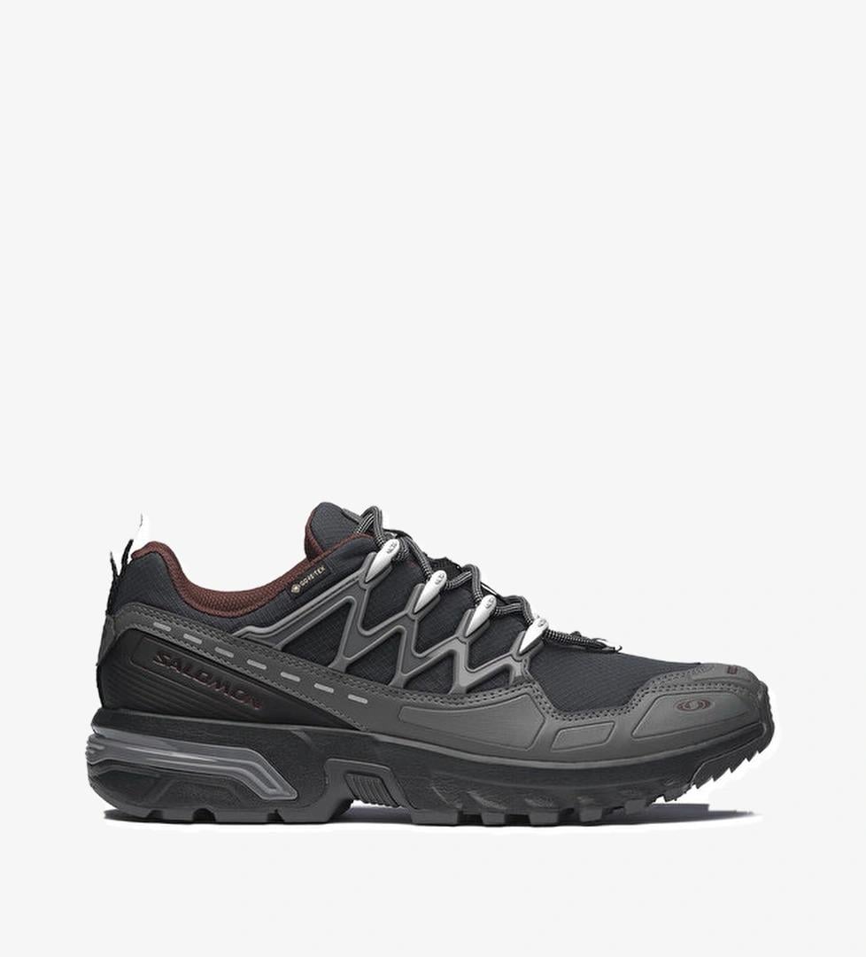 Кроссовки мужские Salomon ACS+ Gore-Tex р. 42 Черный (L47822000)