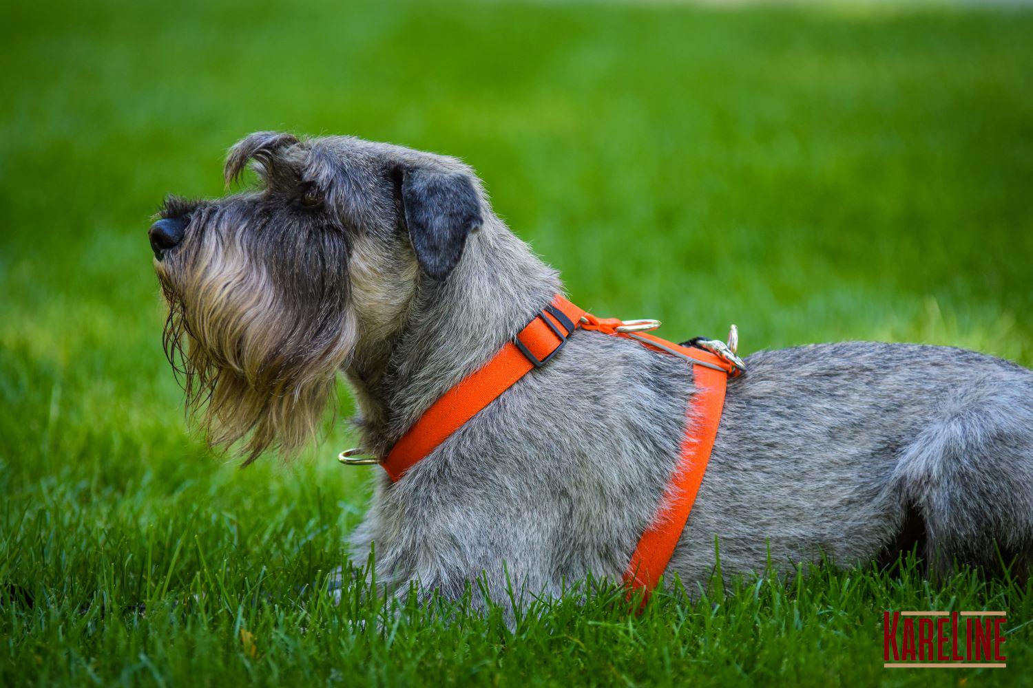 Шлея анатомічна KareLine з нейлону зі світловідбиваючими елементами 25 мм А:340-540 мм В:470-690 мм Помаранчевий (0976/11) - фото 5 Шлея анатомічна KareLine з нейлону зі світловідбиваючими елементами 25 мм А:340-540 мм В:470-690 мм Помаранчевий (0976/11) - фото 5